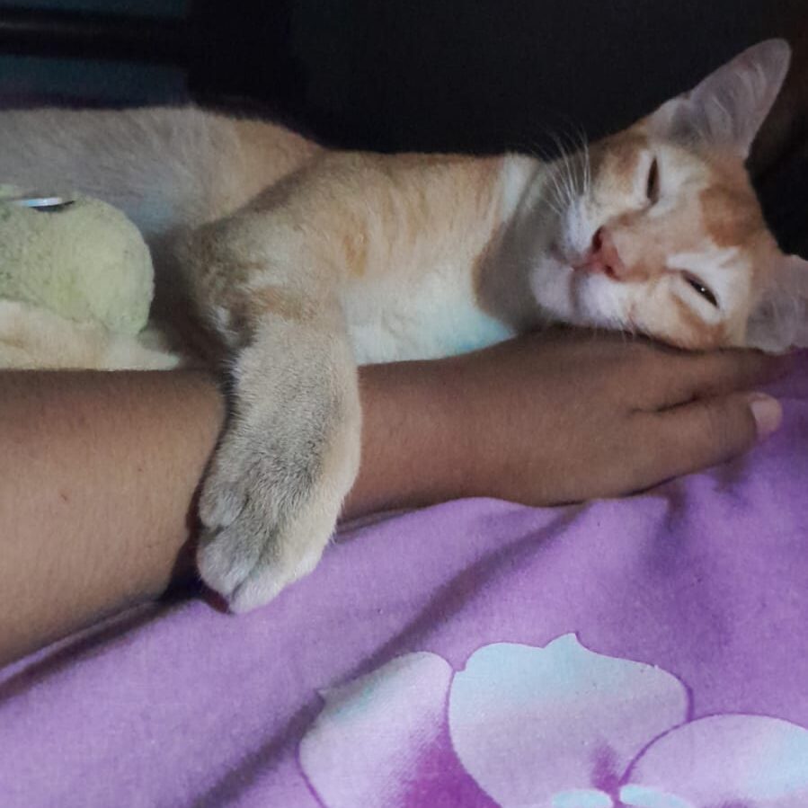 sleeping with mom's hand